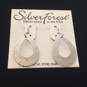 Silver Forest surgical steel fishhook earrings